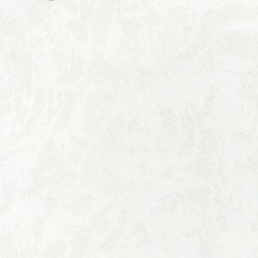 Click Here To Enlarge This Photo Of Arctic Shimmer Bathroom and Shower Panel