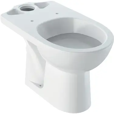 Click Here To Enlarge This Photo Of Geberit Selnova Floor Standing Horizontal Outlet WC for Close Coupled Cistern - 501.041.00.6