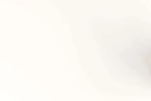 Click Here To Enlarge This Photo Of Lily White Laminate - A242