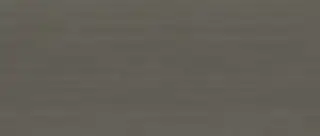 Formica Originals Raven Oak - PP5853