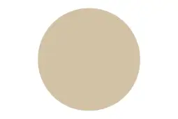 Absolute 290ml Sealant Adhesive - Warm Apricot Grey