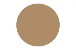 Absolute 290ml Sealant Adhesive - Soft Brown