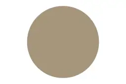 Absolute 290ml Sealant Adhesive - Cinnamon